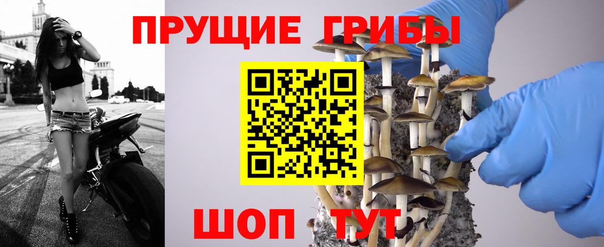 Псилоцибиновые грибы Magic Shrooms  Вход с VPN  Курчалой 
